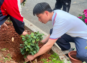 春風十里，正“植”有你!